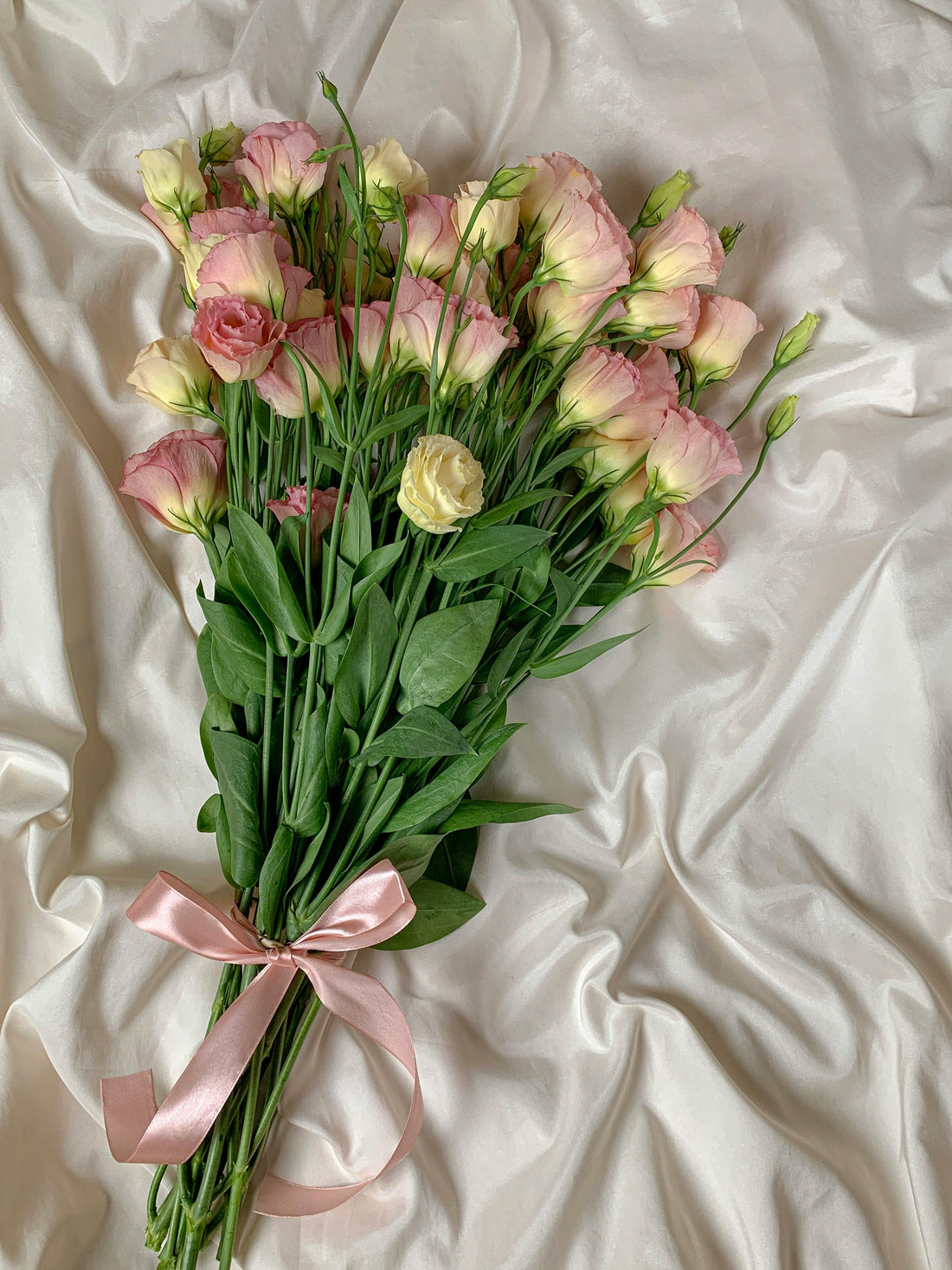 Care for your Silk with Ease
