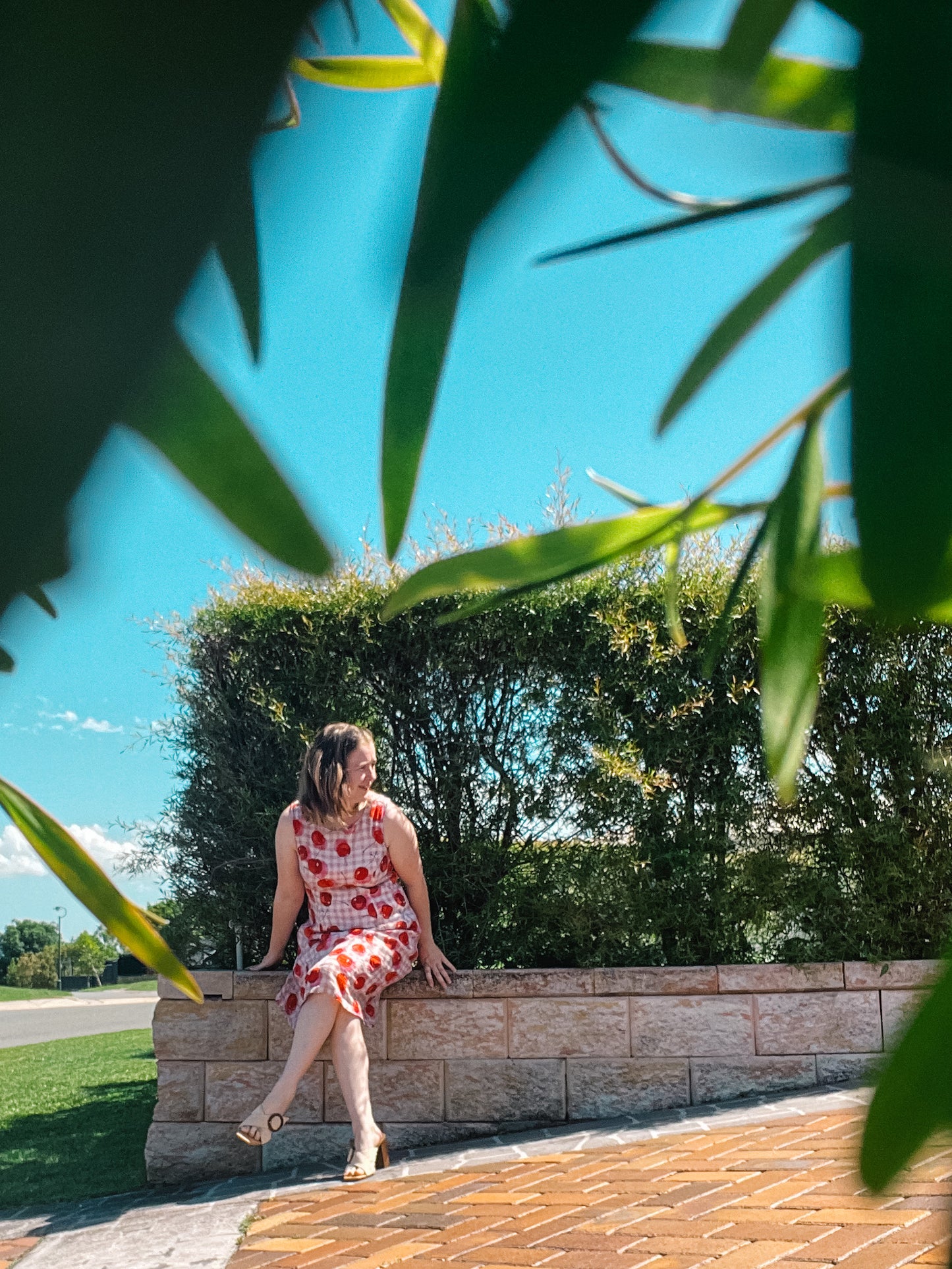 Viola Dress in Cherry Bomb